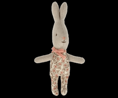rabbit_my.png&width=400&height=500